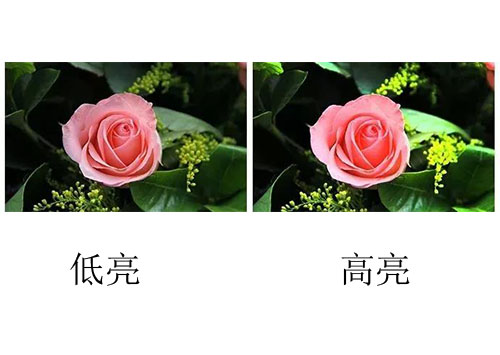 午夜福利视频免费國際lcd拚接屏多少錢？